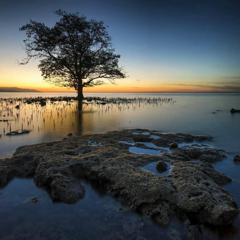 #explorebima Photo today by  taken at Sanosu Beach Ambalawi

#exploreindonesia...
