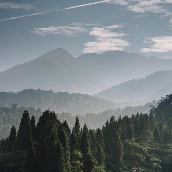 One fine day at Pasir Datar, nicely captured by  #exploresukabumi...