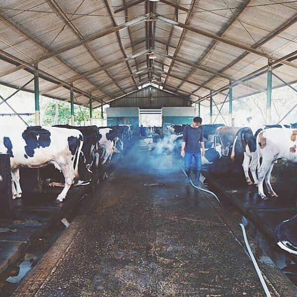 #explorebangka by 

Bangka on Instagram. Tag your Bangka Experience #explorebang...
