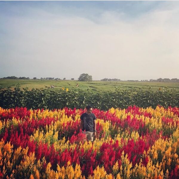 #explorejogja photo today by  taken at Taman Bunga Asri, around Pantai Samas, Ba...