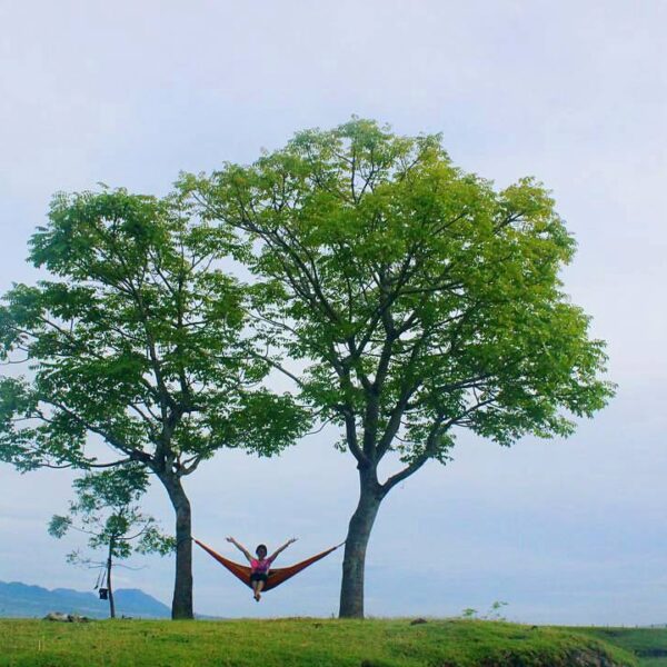 #explorebima Photo today by  taken at Panda

#exploreindonesia...