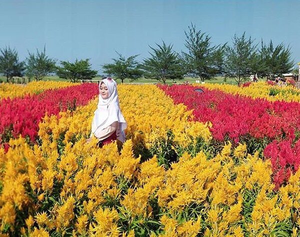 #explorejogja photo today by  taken around Sanden, Bantul....