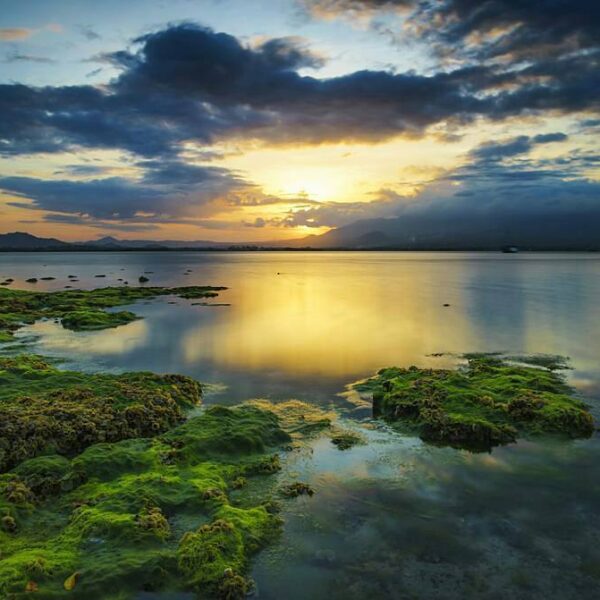 #explorebima Photo today by  taken at Kalaki Beach

#exploreindonesia...