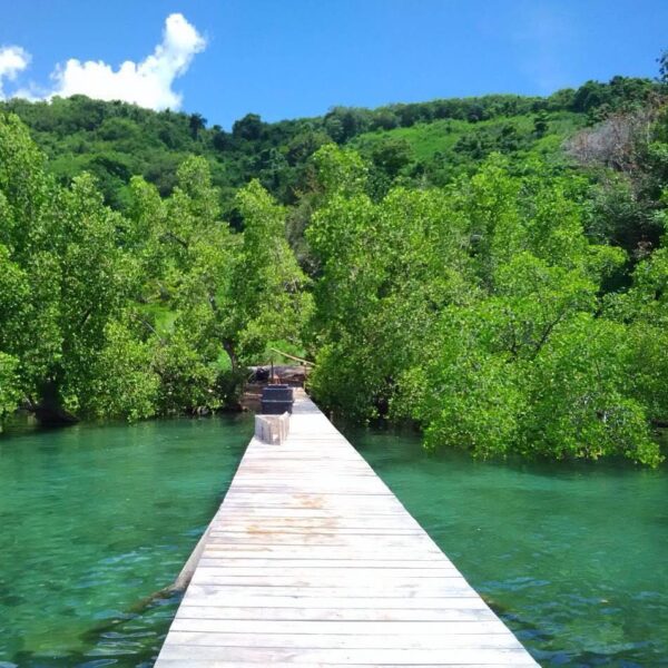 #explorealor Photo today by  Taken arround at Wol Wal Barat, Alor, Nusa Tenggara...