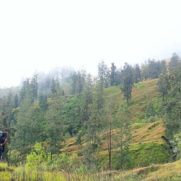 #explorebima  Photo today by  taken at Mt Tambora

#exploreindonesia...