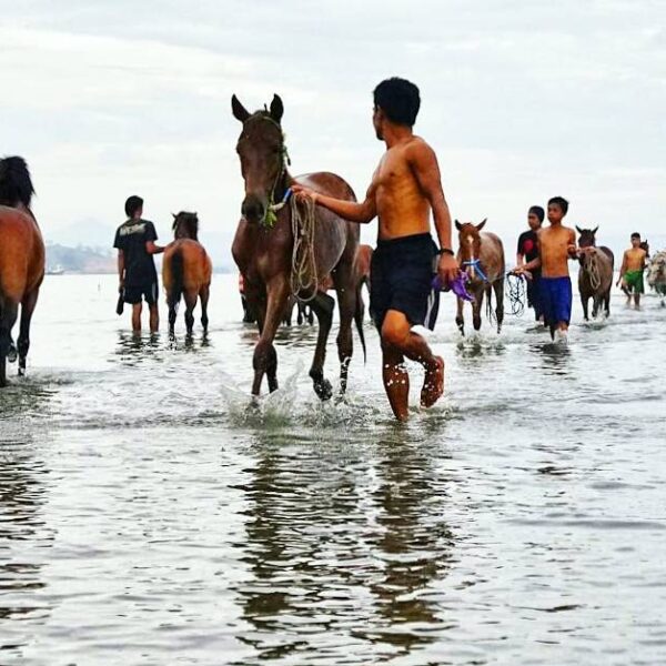 #explorebima Photo today by  taken at Ni'u

#exploreindonesia...