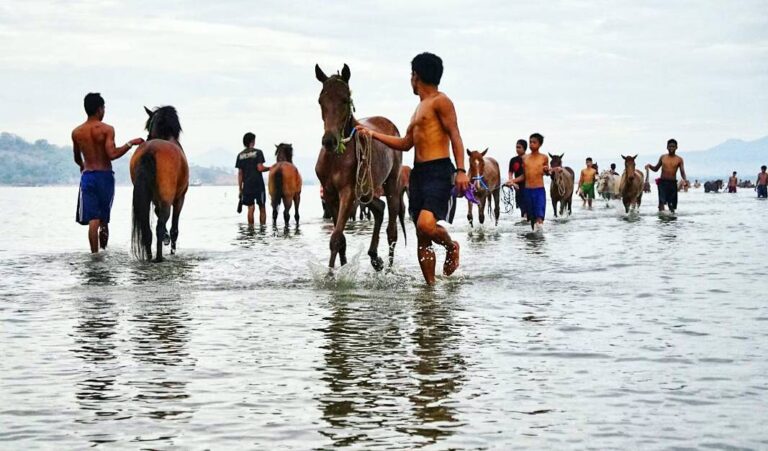 #explorebima Photo today by  taken at Ni'u

#exploreindonesia...