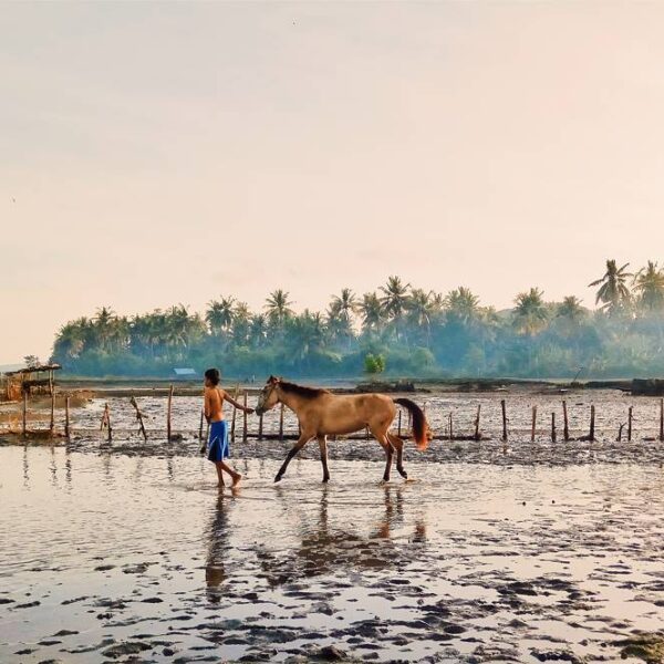 #explorebima Photo today by  taken at Ni'u 
#exploreindonesia...