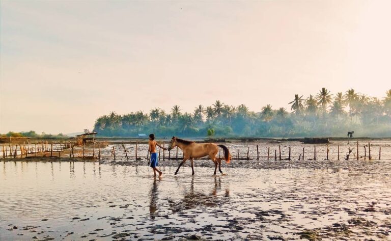 #explorebima Photo today by  taken at Ni'u 
#exploreindonesia...