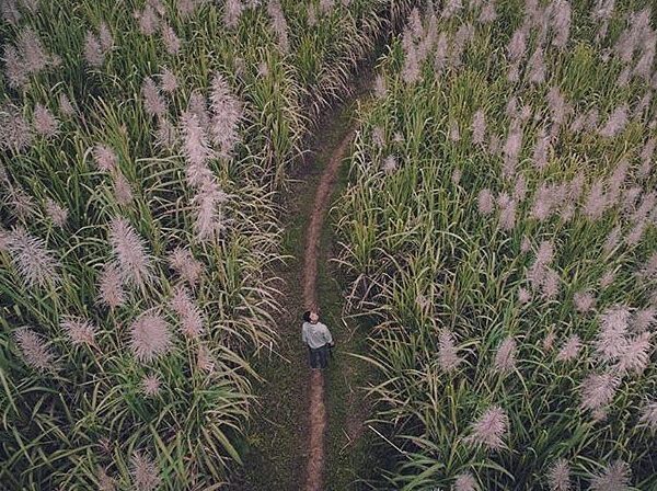 #explorejogja photo today by  taken around Girimulyo, Kulon Progo....