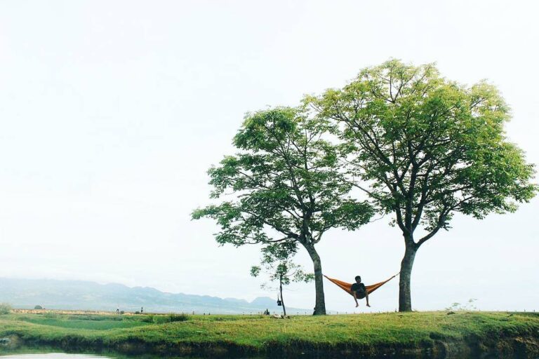 #explorebima Photo today by  taken at Panda

#exploreindonesia...