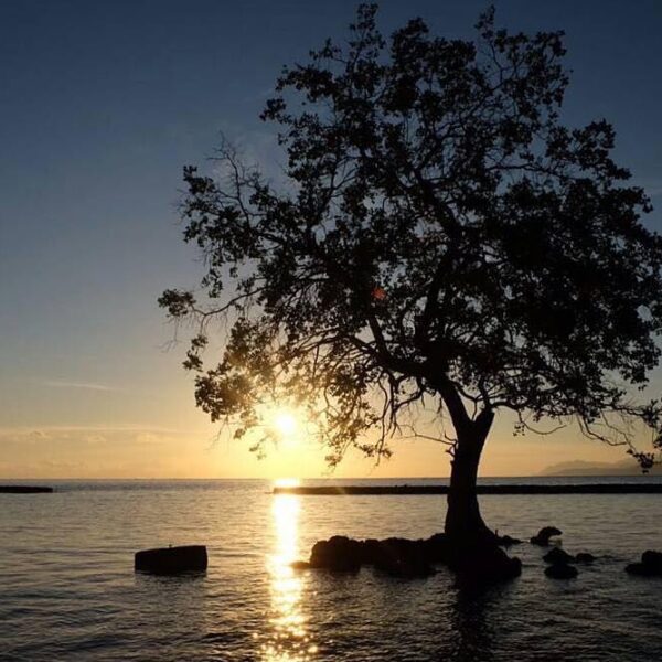 #explorealor Photo today by  Taken arround at Pantai Mali, Alor,  Nusa Tenggara ...