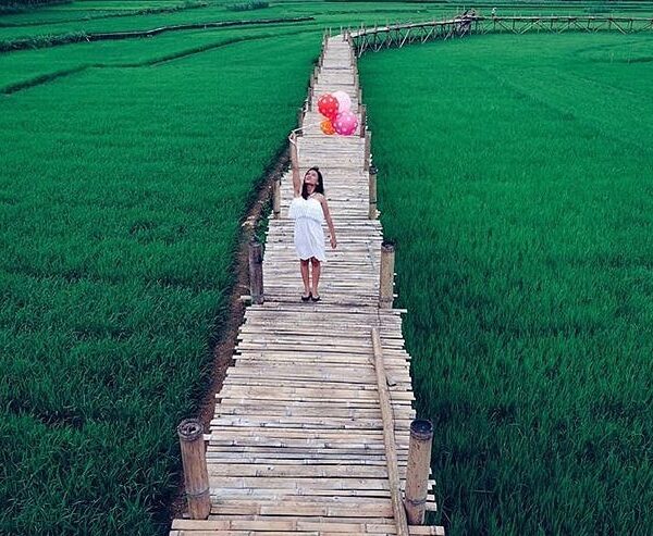 #explorejogja photo today by  taken at Persawahan Sukorame, Dlingo, Bantul....