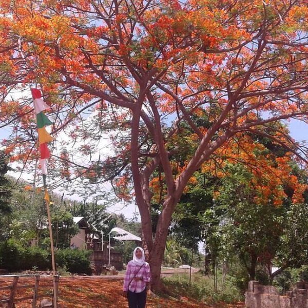 #explorealor Photo today by  Taken arround at Matap, Wolwal Barat, Alor,  Nusa T...