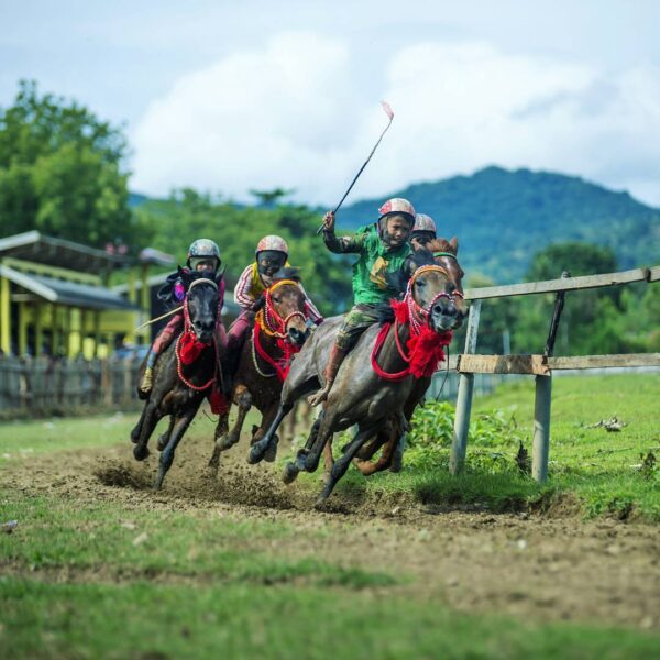 #explorebima Photo today by  taken at Panda 
#exploreindonesia...