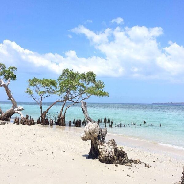 #explorealor Photo today by  Taken arround at Pantai Javatoda, Alor, Nusa Tengga...