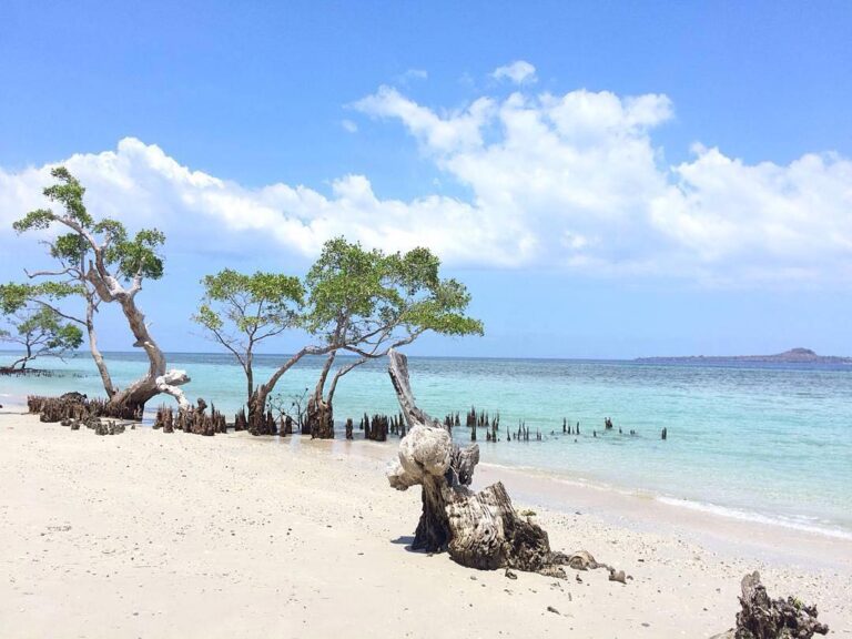 #explorealor Photo today by  Taken arround at Pantai Javatoda, Alor, Nusa Tengga...