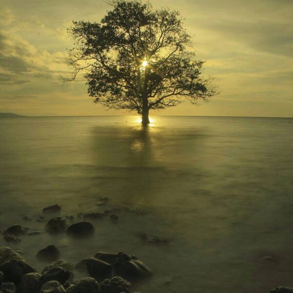 #explorebima Photo today by  taken at Sanosu Beach Ambalawi

#exploreindonesia...