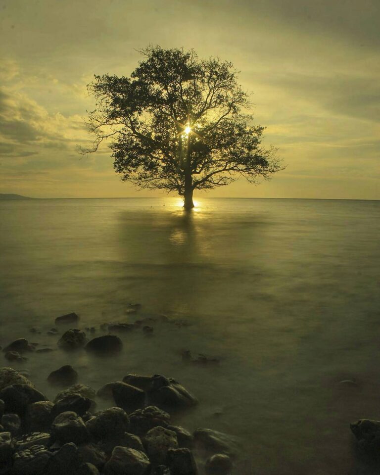 #explorebima Photo today by  taken at Sanosu Beach Ambalawi

#exploreindonesia...