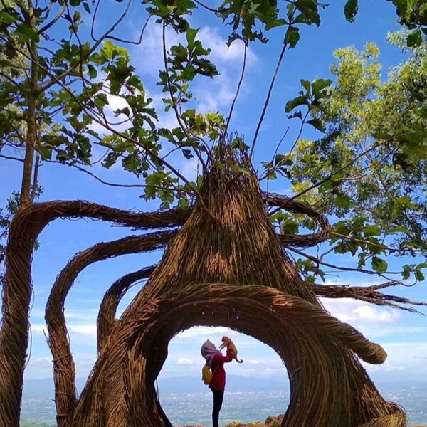 #explorejogja photo today by  takenat Hutan Pinus Pengger, Dlingo, Bantul....