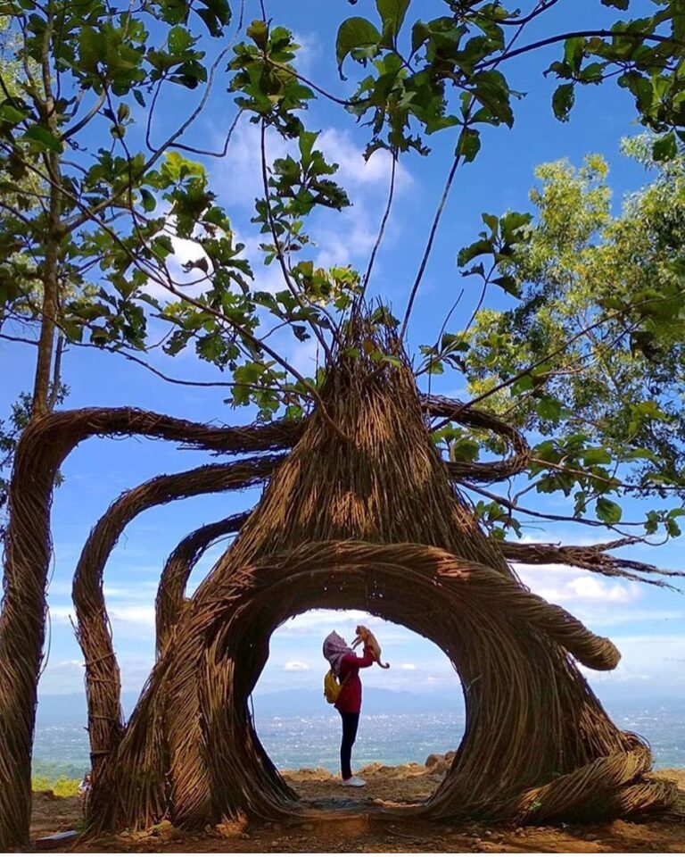 #explorejogja photo today by  takenat Hutan Pinus Pengger, Dlingo, Bantul....