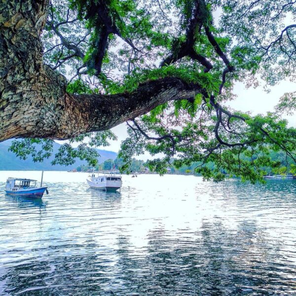 #explorealor Photo today by  Taken around at Buwono,Alor, Nusa Tenggara Timur
#a...