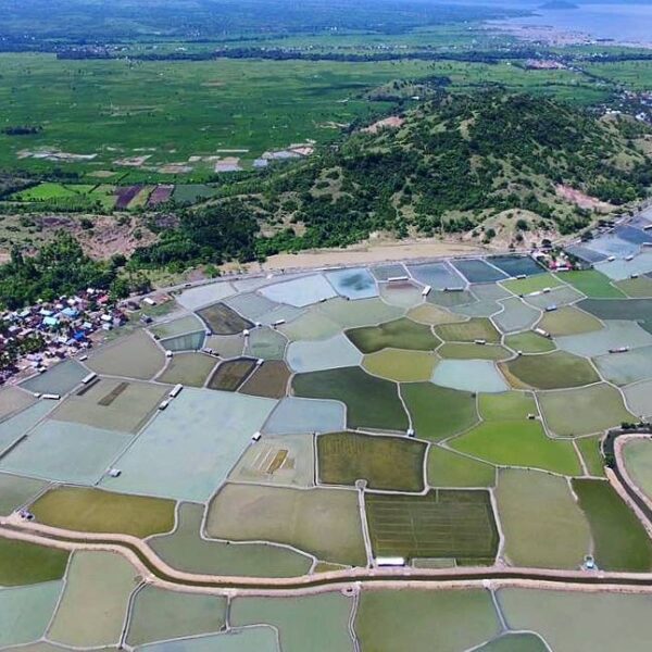 #explorebima Photo today by  taken at Salt Farm 
#exploreindonesia...