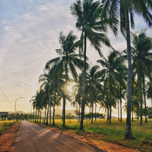 #exploresukabumi photo by  taken around Pantai Palangpang, Ciwaru...