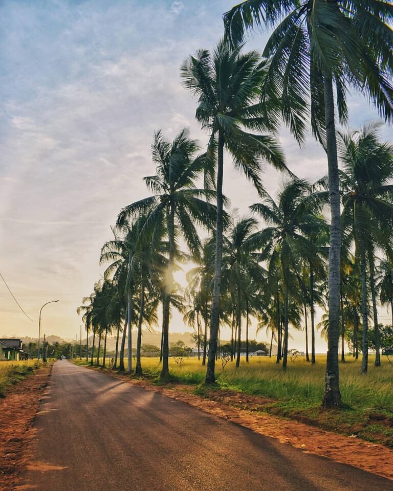 #exploresukabumi photo by  taken around Pantai Palangpang, Ciwaru...