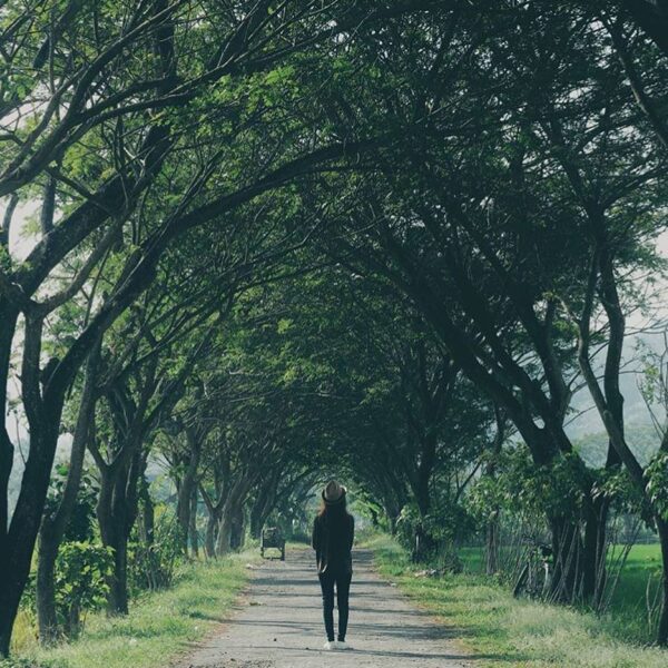 #explorejogja photo today by  taken around Jl.Pleret, Bantul....