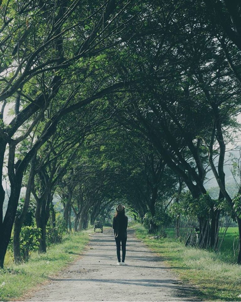 #explorejogja photo today by  taken around Jl.Pleret, Bantul....