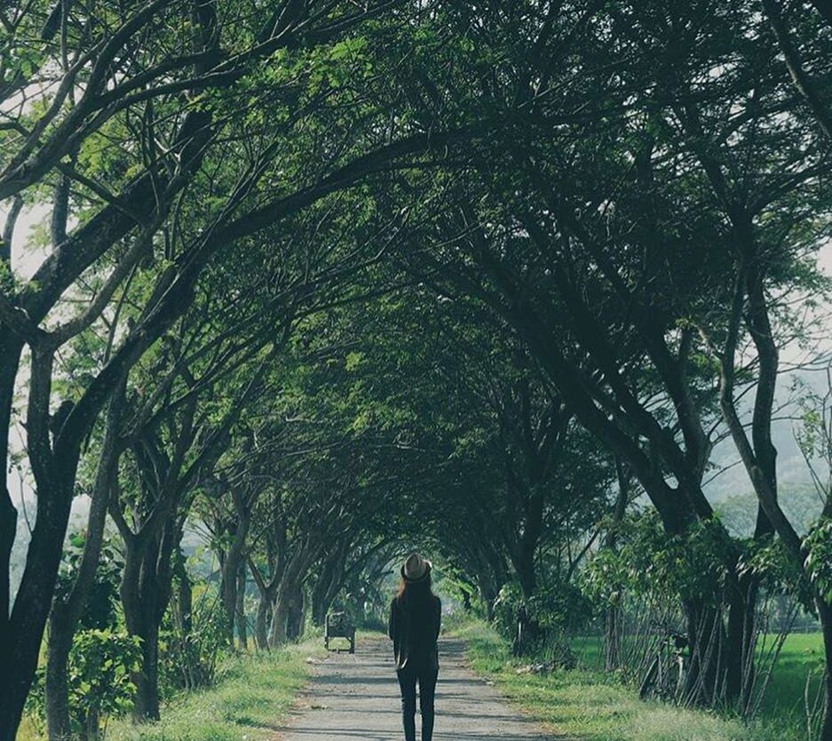 #explorejogja photo today by  taken around Jl.Pleret, Bantul....