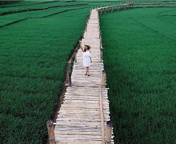 #explorejogja photo today by  taken at Persawahan Sukorame, Dlingo, Bantul....