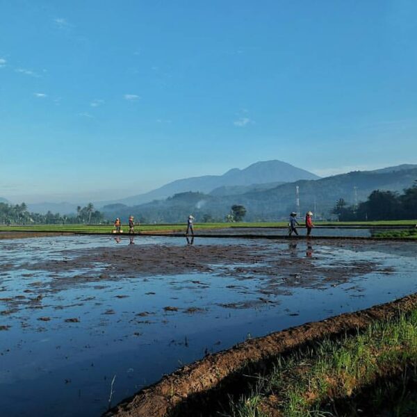 #exploresukabumi photo by  taken around Gegerbitung...