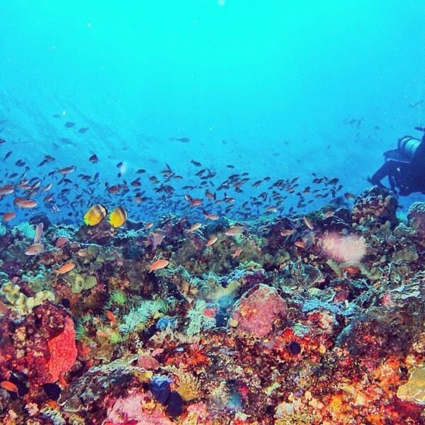 #explorealor Photo today by  Taken arround at Alor, Nusa Tenggara Timur
#alor
#p...
