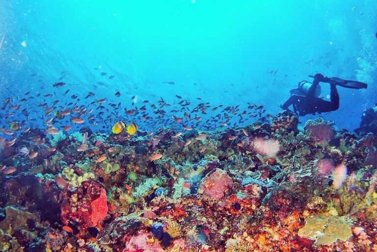 #explorealor Photo today by  Taken arround at Alor, Nusa Tenggara Timur
#alor
#p...