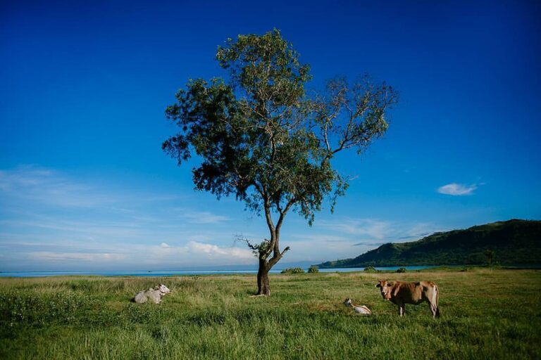 #exploresukabumi photo taken at Pantai Palangpang by ...