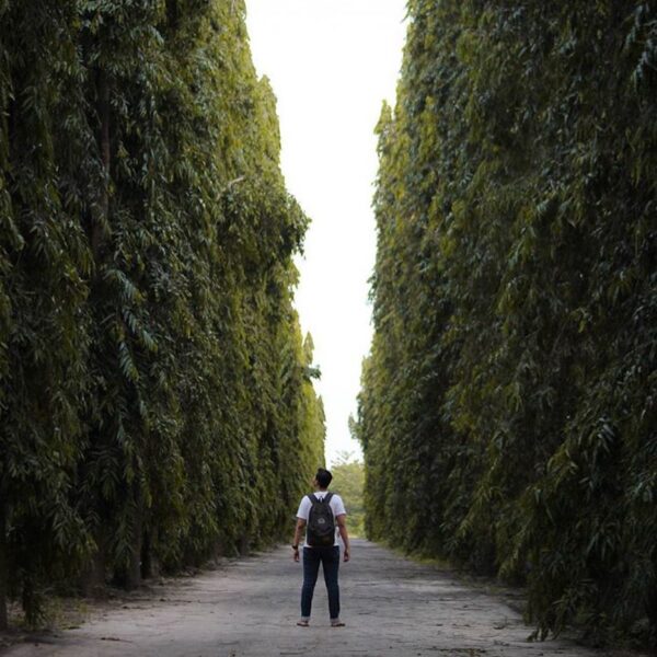 #explorejogja photo today by  taken around Kampus STTA Yogyakarta....
