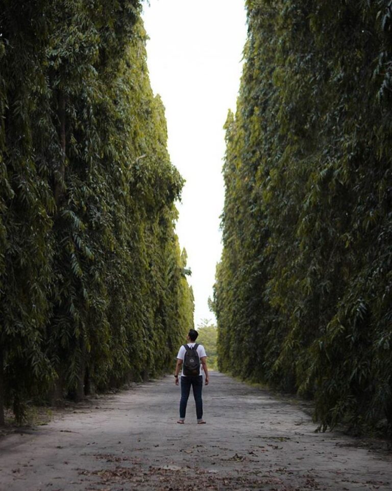 #explorejogja photo today by  taken around Kampus STTA Yogyakarta....
