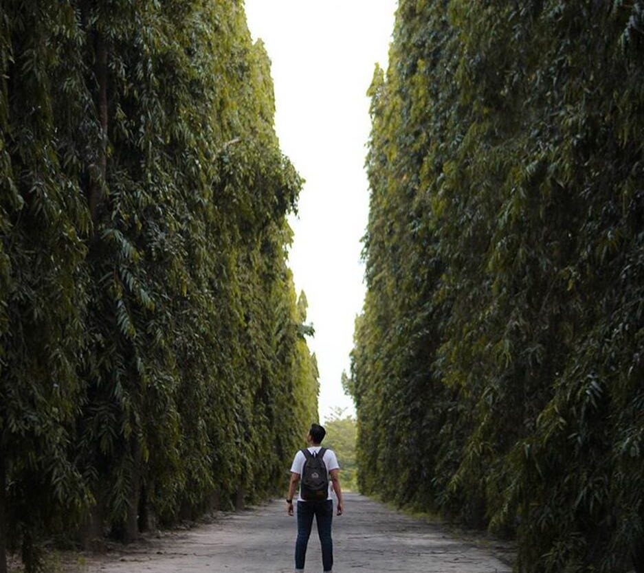 #explorejogja photo today by  taken around Kampus STTA Yogyakarta....