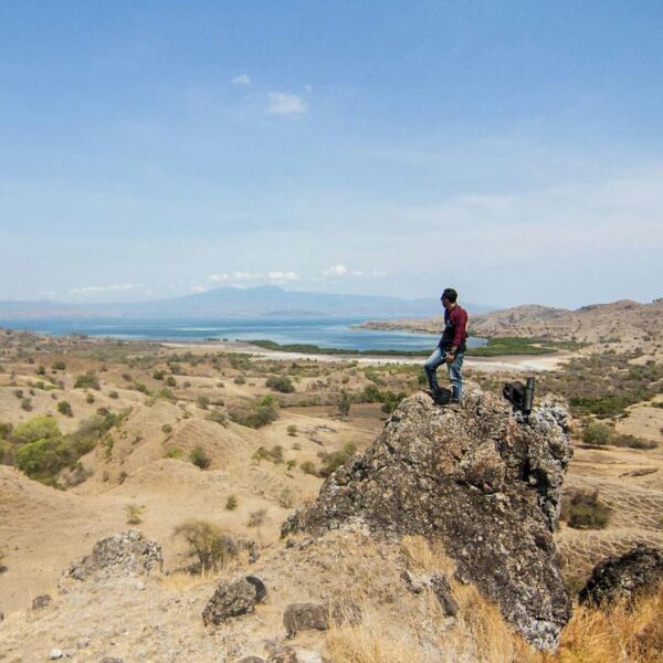 #explorebima Photo today by  taken at around Lambu

#exploreindonesia...