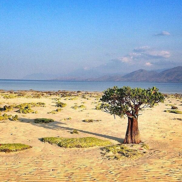 #explorealor Photo today by  Taken arround at Pulau Sika, Alor, Nusa Tenggara Ti...