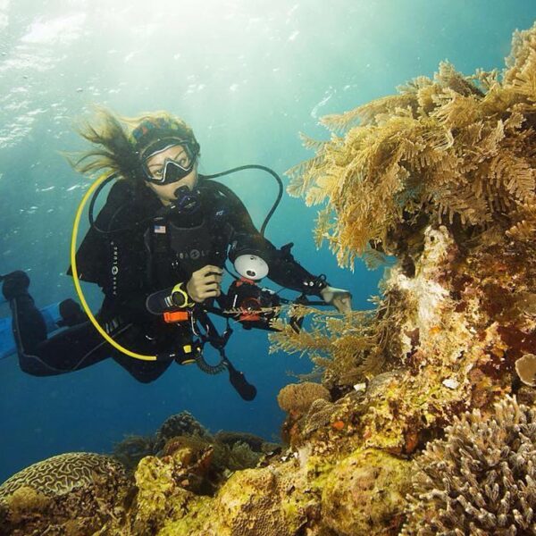 #explorealor Photo today by  Taken arround at Pulau Alor, Alor, Nusa Tenggara Ti...