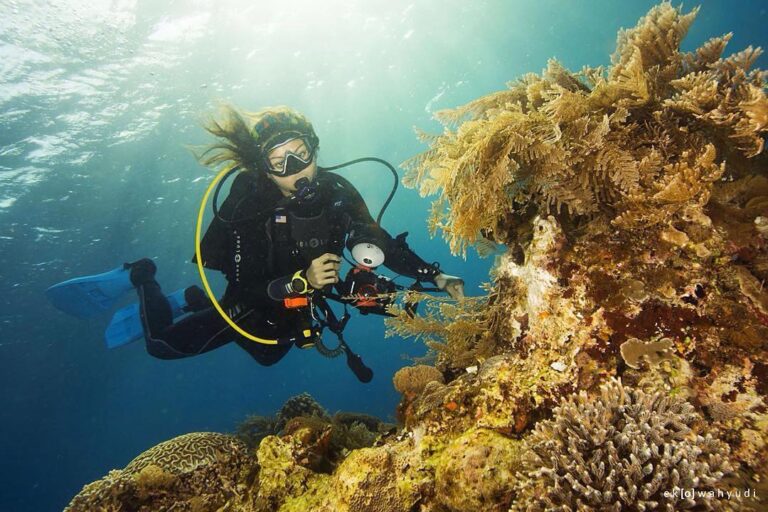 #explorealor Photo today by  Taken arround at Pulau Alor, Alor, Nusa Tenggara Ti...