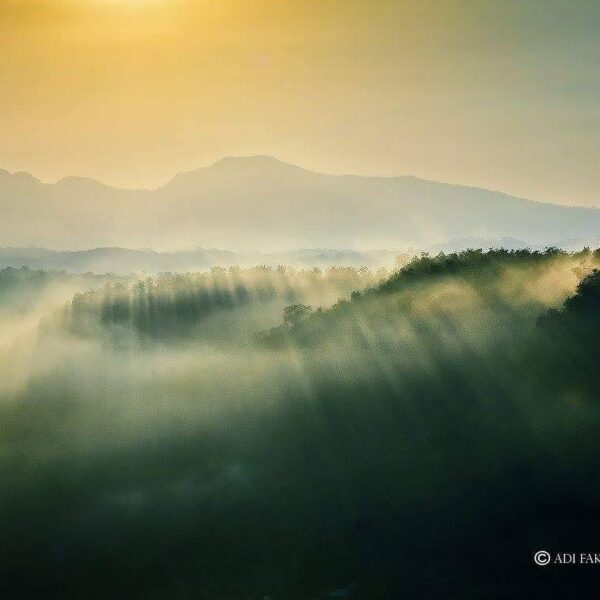 #explorebima Photo today by  taken around Jatiwangi, Kota Bima, NTB.

#explorein...