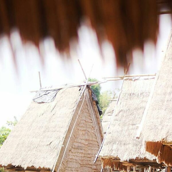 #explorebima Photo today by  taken at Maria, Wawo, Bima, NTB.

#exploreindonesia...
