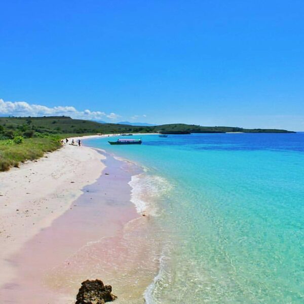 #explorebima Photo today by  taken at Pink Beach, Bima, NTB.

Tag teman kamu yan...