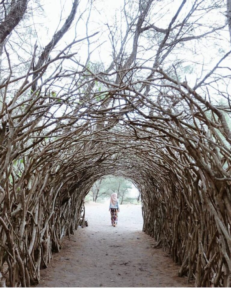 #explorejogja photo today by  taken around Panta Goa Cemara, Bantul....