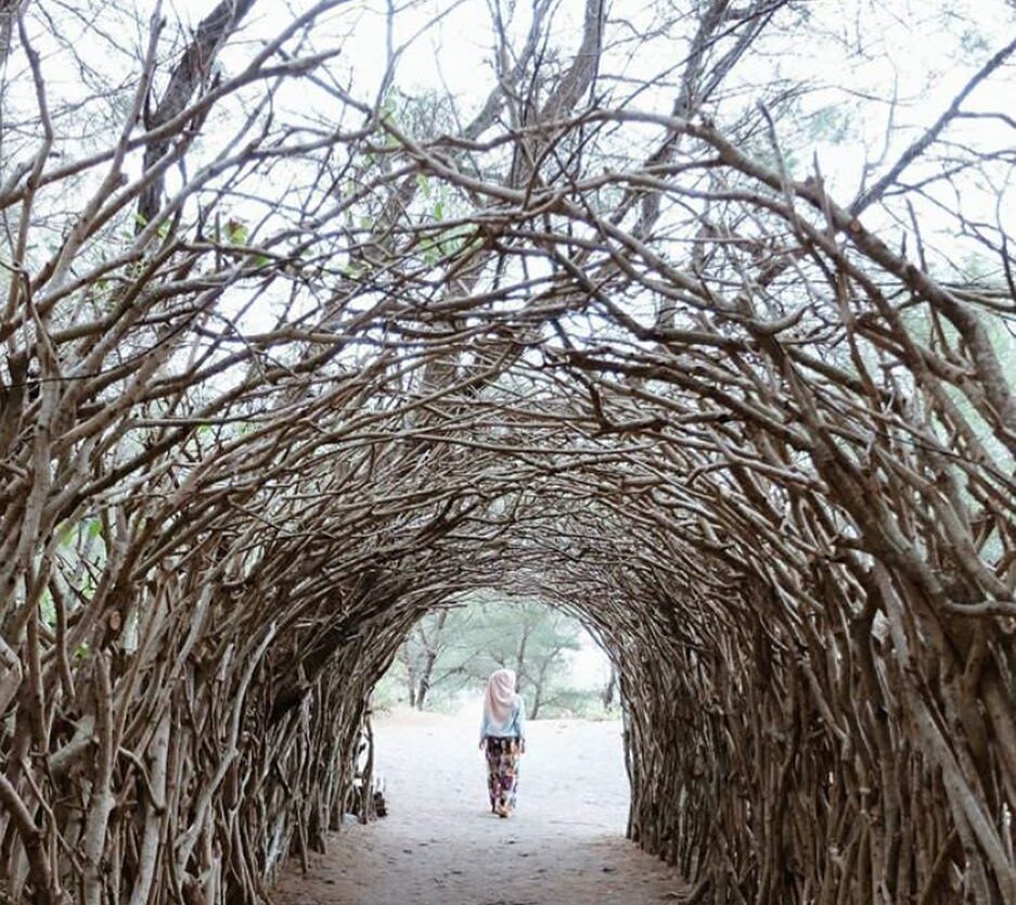 #explorejogja photo today by  taken around Panta Goa Cemara, Bantul....