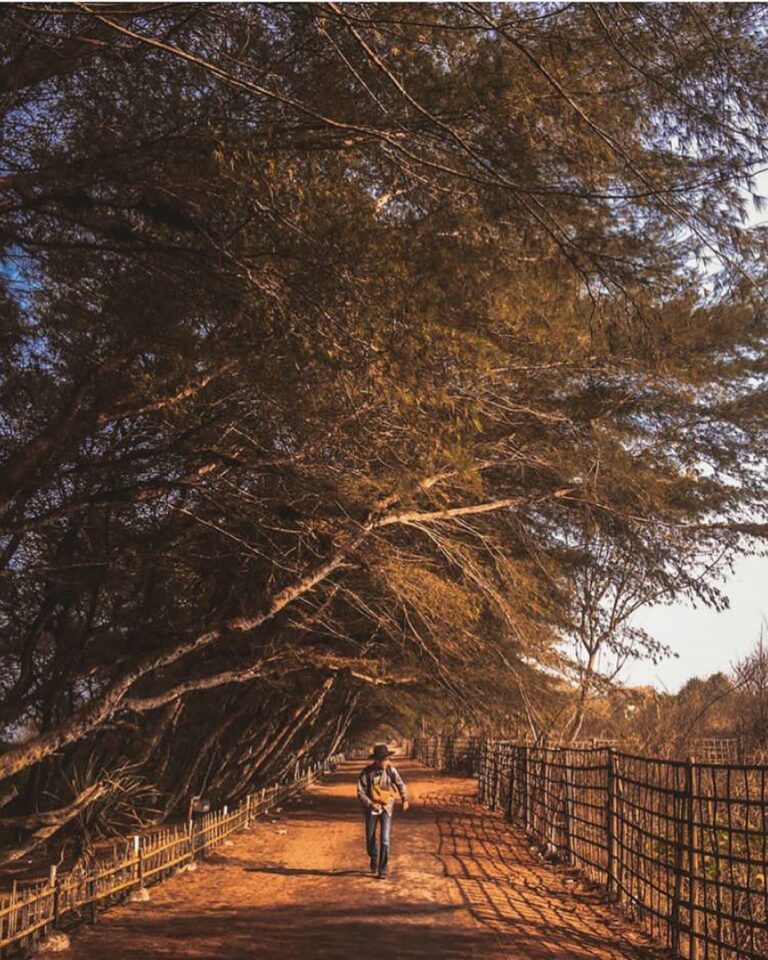 #explorejogja photo today by  taken around Pantai Goa Cemara, Bantul....